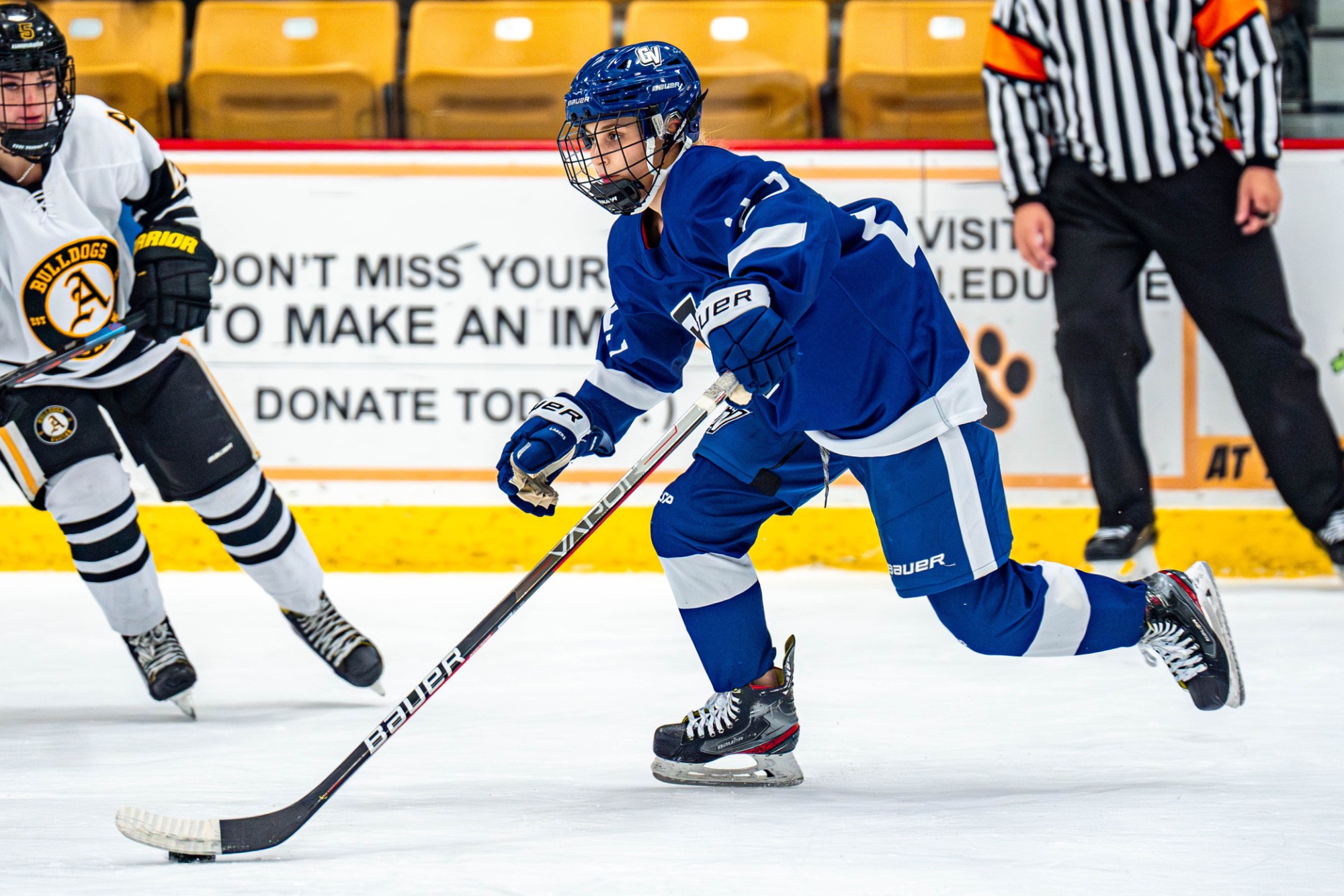 Women's Ice Hockey Club
